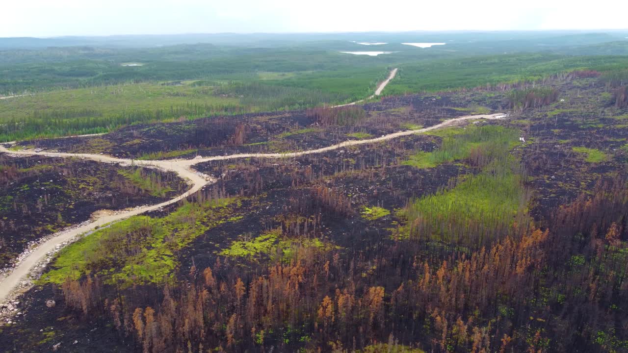 Bird's-eye view of the massive damage caused by the forest fires in Lebel-sur-Qu&eacute;villon, Quebec