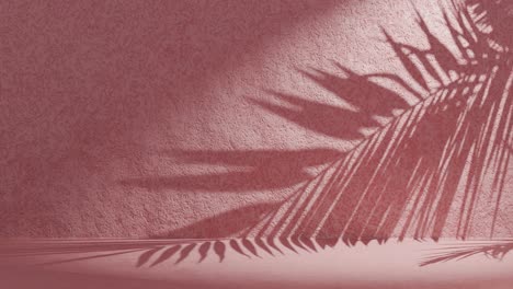 pink textured wall with palm frond shadow waving in wind on back