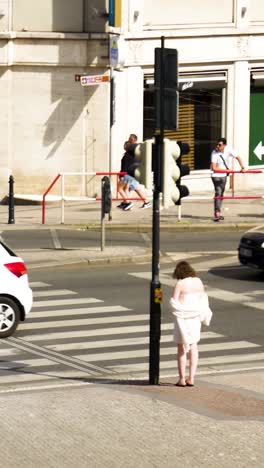 city street scene with pedestrian crossing