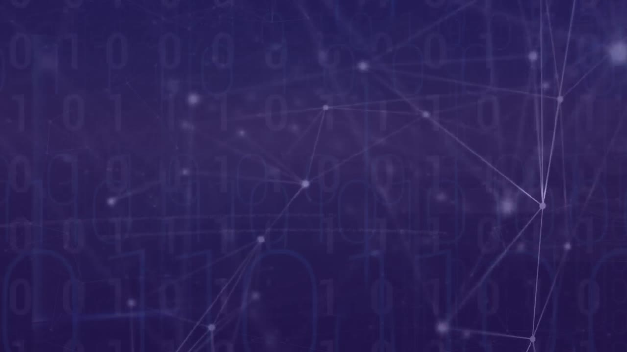 animación de la red de conexiones a través del procesamiento de datos