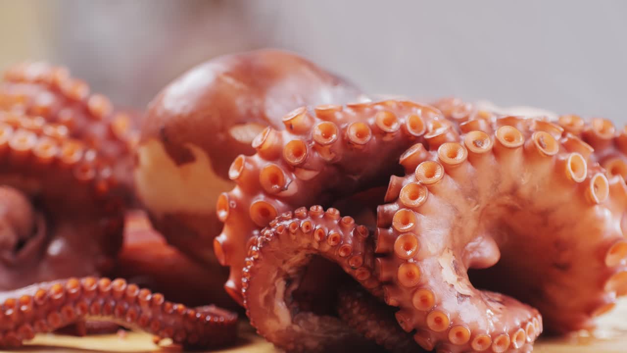 Octopus cooking, chef Boiling fresh octopus on restaurant kitchen, healthy food, seafood cafe in spain, traditional asian japanese spanish and mediterranean dish.