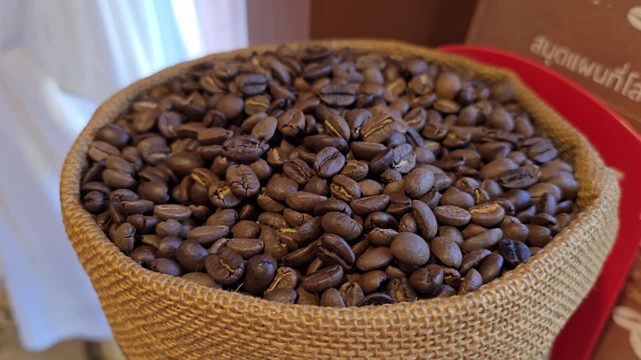 Primo piano, panoramica al rallentatore di chicchi di caffè marroni in una ciotola