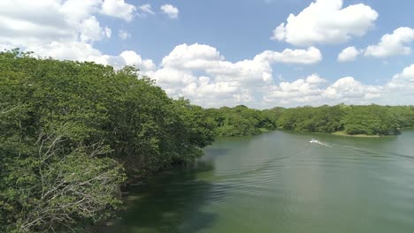 boat sailing on river of humedales del ozama national park in dominican republic