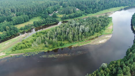 Forestry-island-in-middle-of-river-Nemunas,-aerial-drone-ascending-view