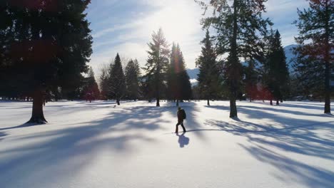 Hiker-walking-on-a-snowy-landscape-4k