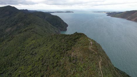 omanawanui track along wonga wonga bay in auckland, new zealand - aerial shot