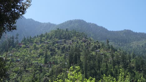 plants, houses and natural diversity of the mountainous region.