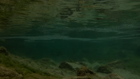 underwater shot in a calm creek located in huancaya, at the peruvian highlands