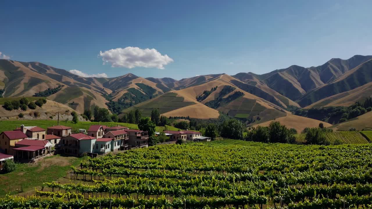 Un vídeo aéreo captura exuberantes viñedos y pintorescas casas de pueblo con colinas ondulantes bajo un cielo despejado
