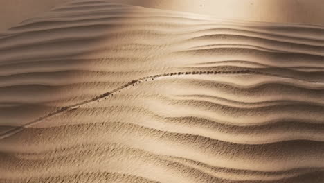 sand dunes landscape