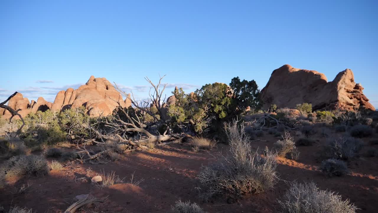 SLO MO walk through desert land with dry Busches around
