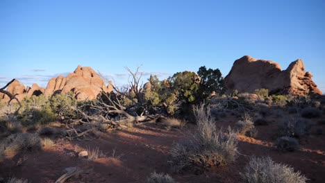 Slo-Mo-Caminar-A-Través-De-La-Tierra-Del-Desierto-Con-Arbustos-Secos-Alrededor