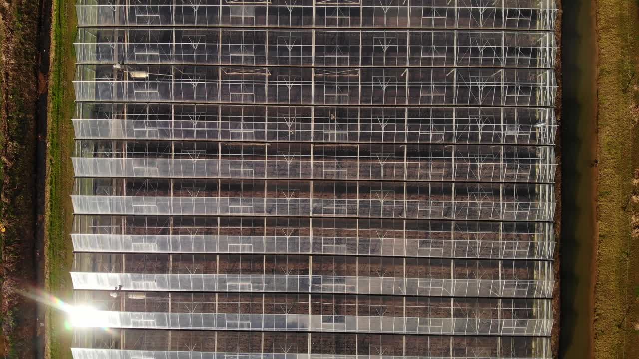 vuelo aéreo sobre invernaderos agrícolas industriales en barendrecht