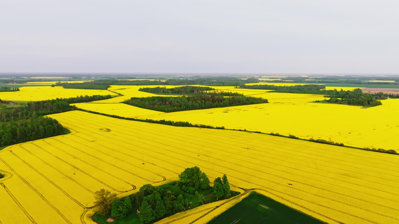 Forward drone motion above rural Latvia showing farmland, forest symmetry