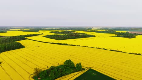 forward drone motion above rural latvia showing farmland, forest symmetry