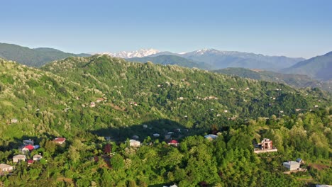 drone flight above blooming hills at batumi countryside in springtime