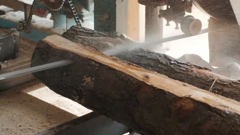 closeup of cut pine tree log on sawing machine at wood production factory. timber material processing and cutting at sawmill. manufacturing process at lumber mill. sawing woods on power machine