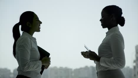 cheerful businesswomen shaking hands