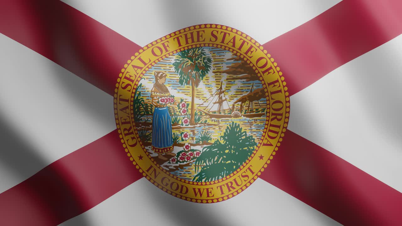 미국 플로리다 주 3d 발을 흔들고, 바람을 배경으로 한 국가 발, 4k 현실적인 원활한 루프 애니메이션 비디오 클립