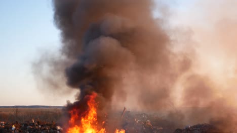 fire close up. burning garbage. concern for the environment. environmental pollution