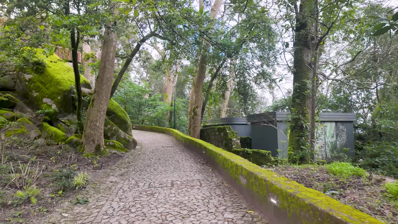 Historic stone pathway surrounded by moss and lush greenery inside the Moorish Castle grounds in Sintra, Portugal