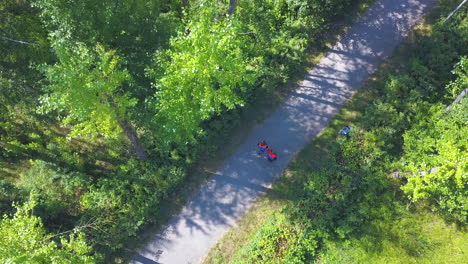 people walking on a path in a forest