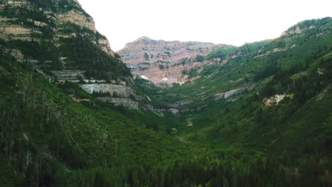 rising drone shot of mountain peak and forest in utah
