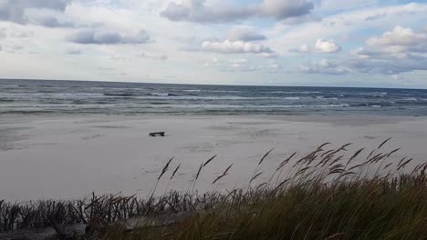 windy day at the beach