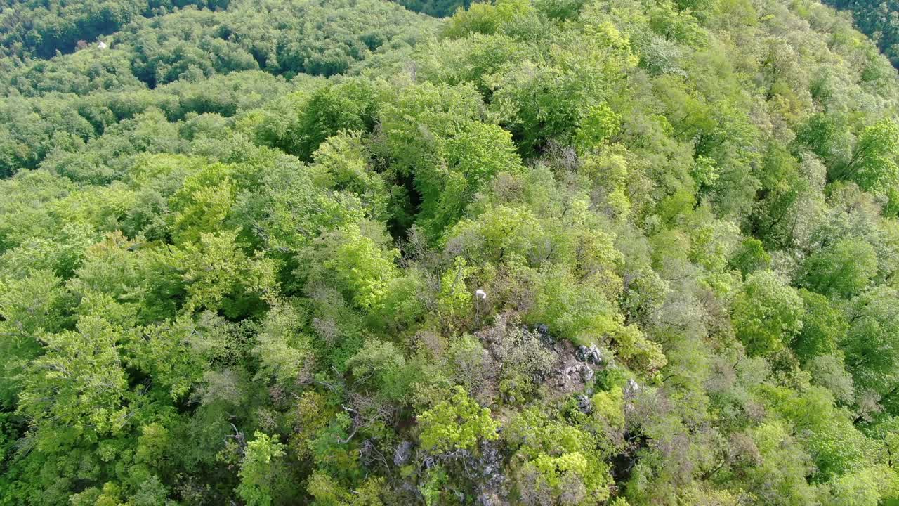 Untouched jungle paradise. Lush, dense forest of Kocevje, Slovenia. Aerial