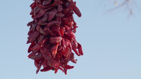 Chiles-Colgados-Para-Secar-En-El-Centro-De-Santa-Fe,-Nuevo-México,-Con-Video-Estable-Filmado-De-Cerca