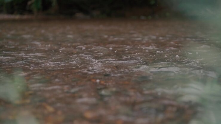 Shallow Stream Water Flowing Over Brown Pebbles