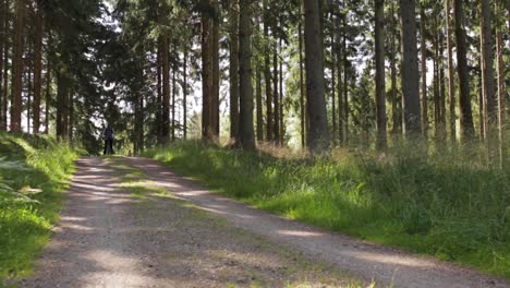 man enjoying a wonderful bike ride on a gravel road through the sunny forest