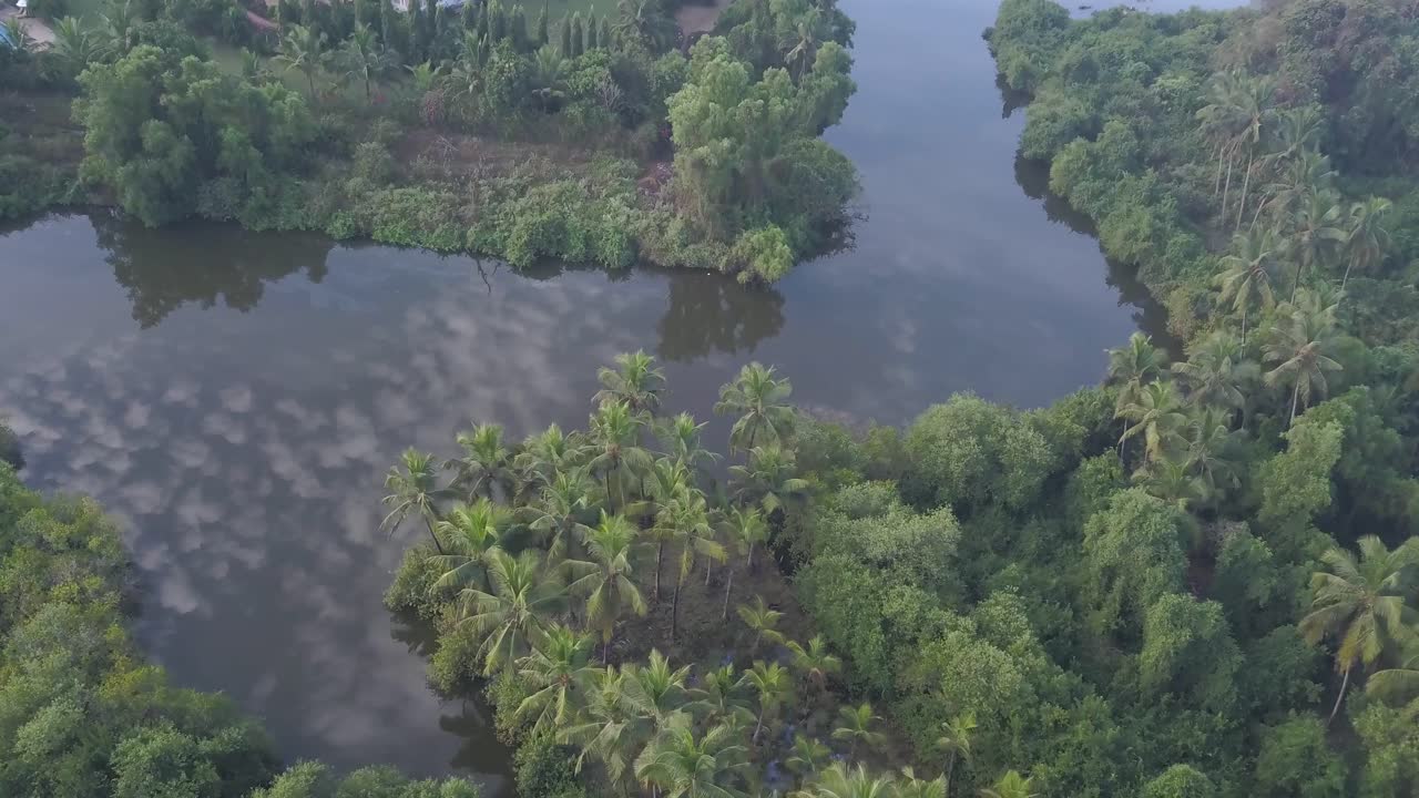 reflejos a través de un lago tranquilo con densas palmeras cerca de lalit golf y spa resort en canacona, sur de goa en la india