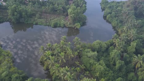 Reflexiones-A-Través-De-Un-Lago-Tranquilo-Con-Densas-Palmeras-Cerca-De-Lalit-Golf-And-Spa-Resort-En-Canacona,-Sur-De-Goa-En-India