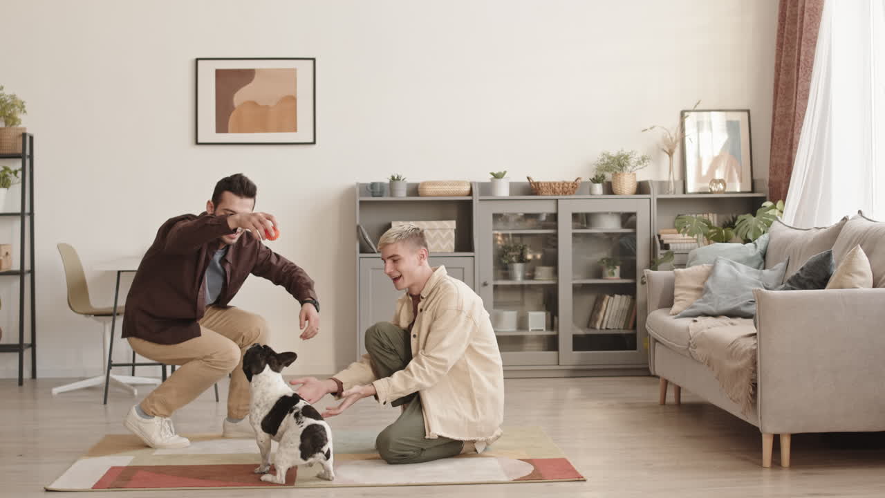 Gay Couple Playing with French Bulldog at Home