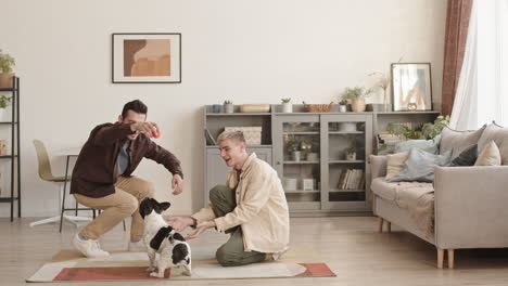 gay couple playing with french bulldog at home