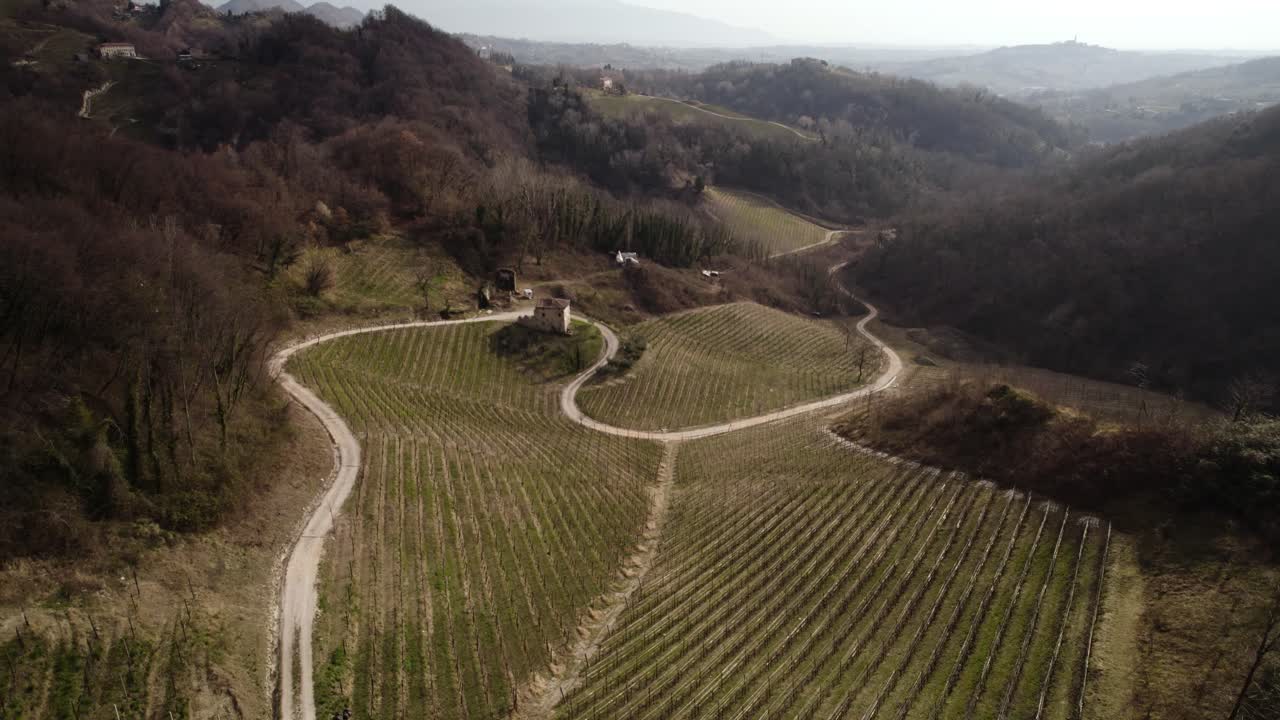 Vista panoramica aerea su una strada sterrata che si snoda tra i filari di vigneti nelle colline del Prosecco, Italia, in una giornata invernale.