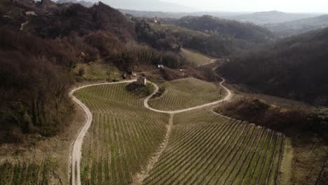 aerial panoramic view over a dirt road winding through vineyard rows in the prosecco hills, italy, on a winter day