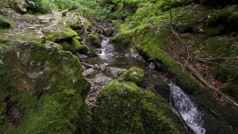 hermoso y tranquilo arroyo con piedras cubiertas de musgo y helechos en el bosque de bosques de cumbria
