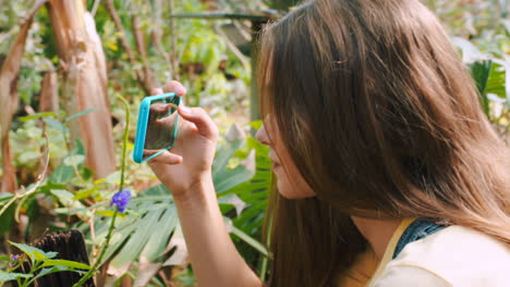 mariposa de la naturaleza, móvil y mujer con teléfono