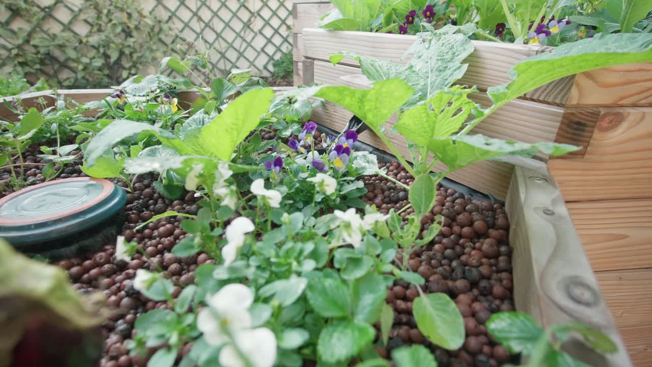 top view with plants and clear water outlet in natural aquaponics pond, filmed with a problens lens.