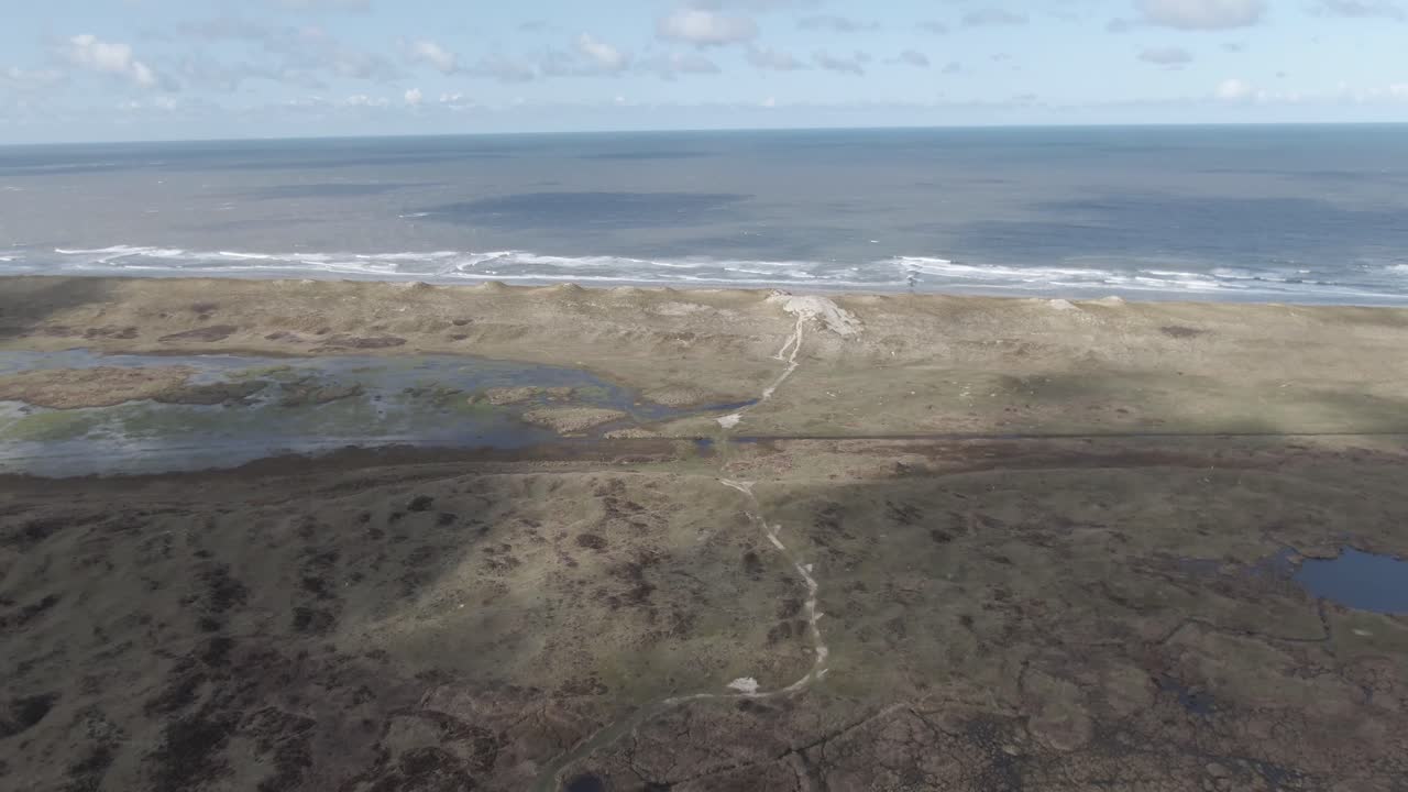 paisaje de playa con marismas en la isla de texel, países bajos en verano