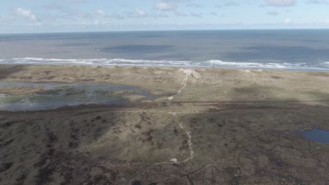 beach landscape with mudflats in texel island, netherlands at summer