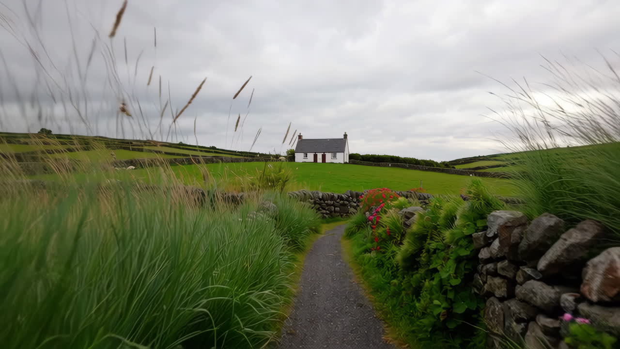 Rural Irish Cottage and Countryside Landscape with Stone Walls