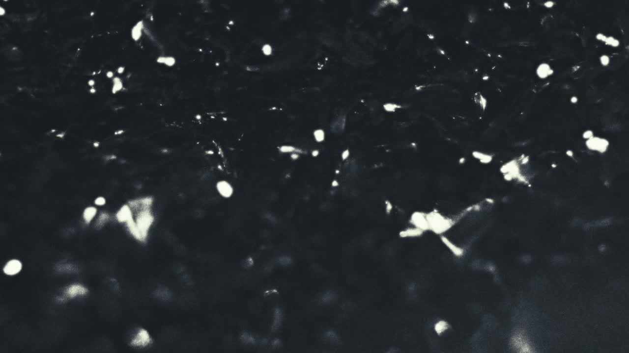 Old footage of weird science experiment - alien lifeform