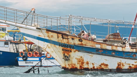 barcos oxidados en el mar cerca de la costa