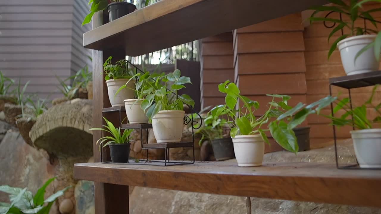 hermoso plan de jardinería vertical de bambú de pie en primer plano