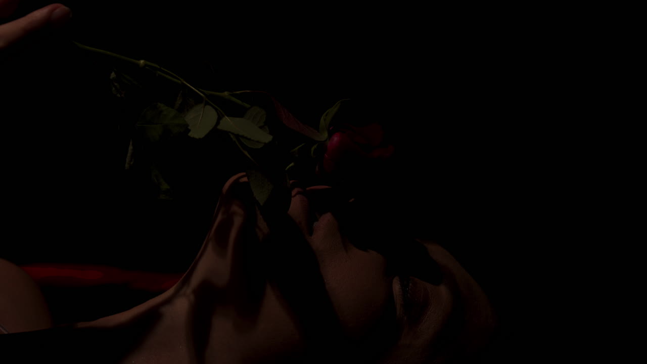 Beautiful close up of a red rose gently caressing the face of an attractive woman lying in a dark bedroom in slow motion