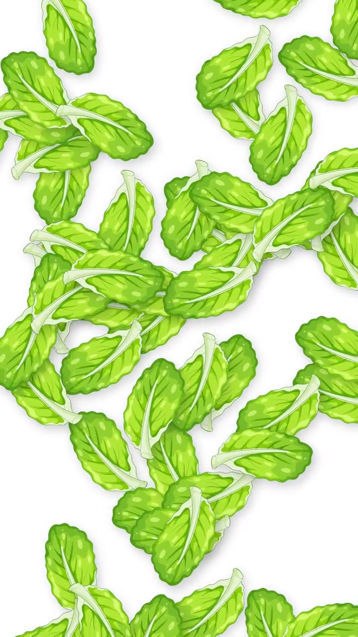 Animazione verticale di foglie di menta verdi stilizzate che cadono continuamente su uno sfondo bianco pulito.