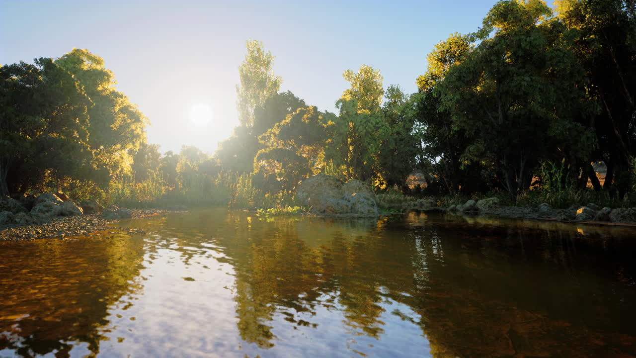 солнечный свет отражается от спокойной реки в пышном лесу в конце дня